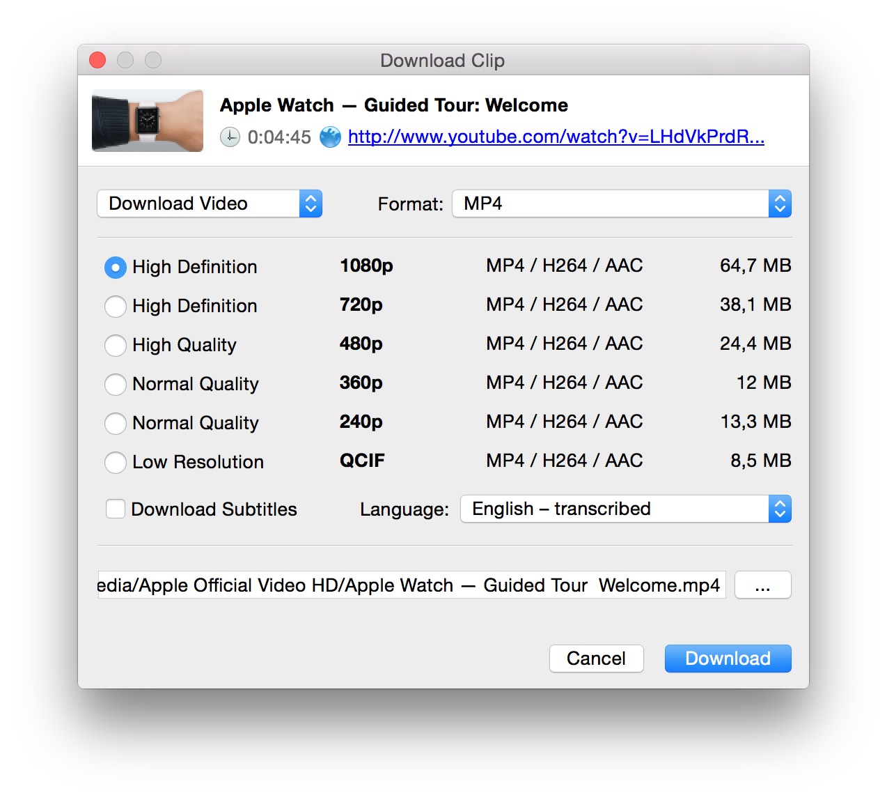 4k youtubevideo downloader