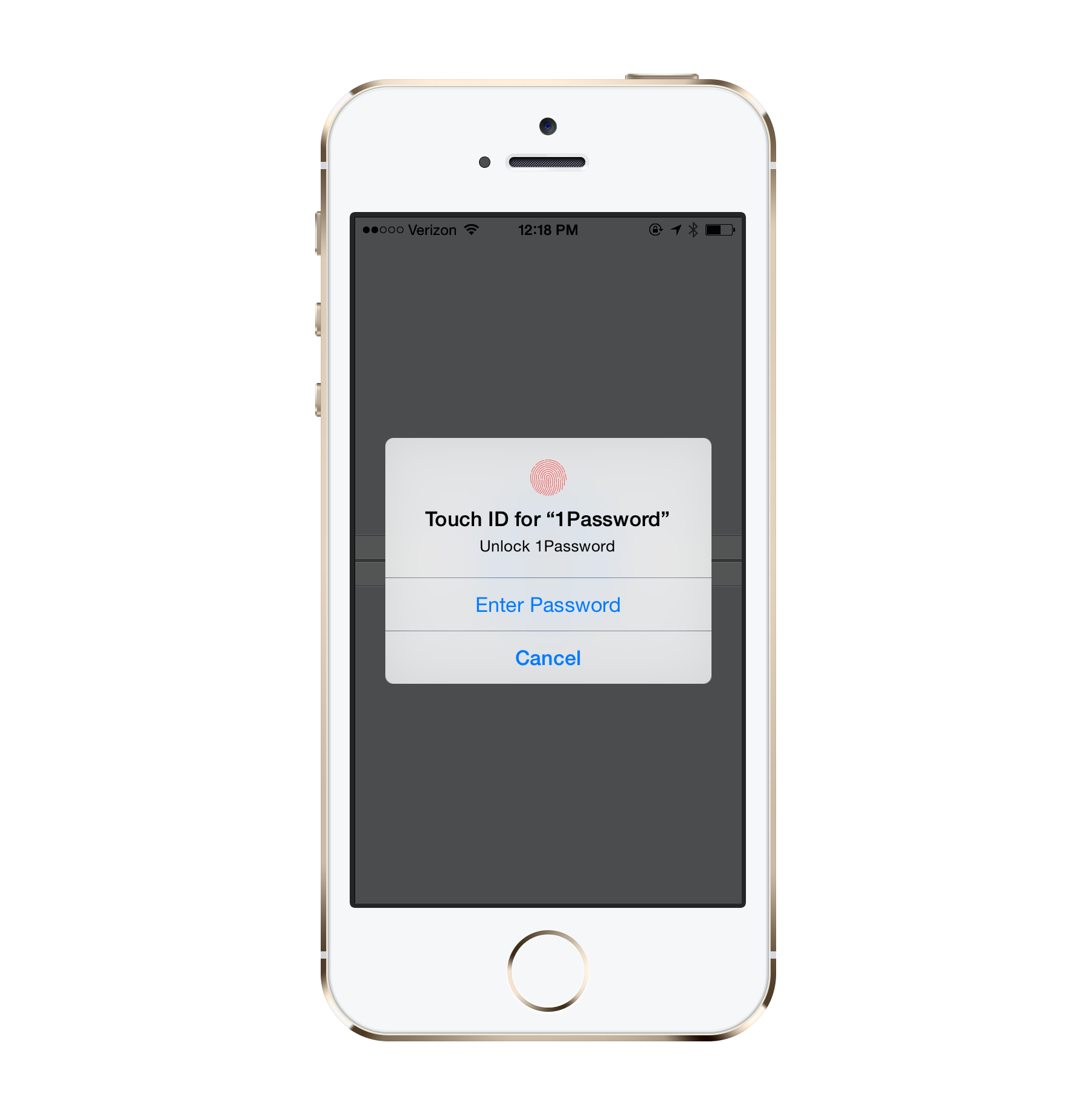 1password-touchid