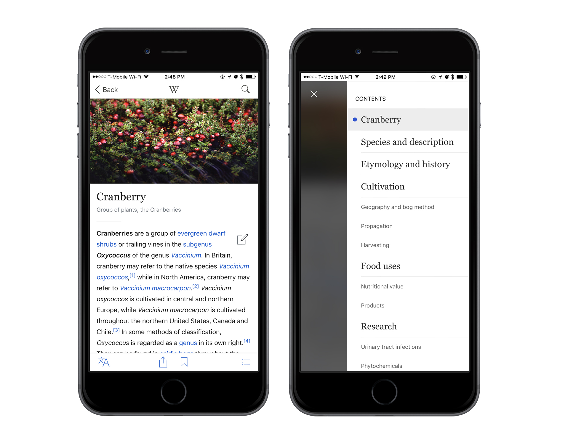 iPhone Gems: Wikipedia Apps