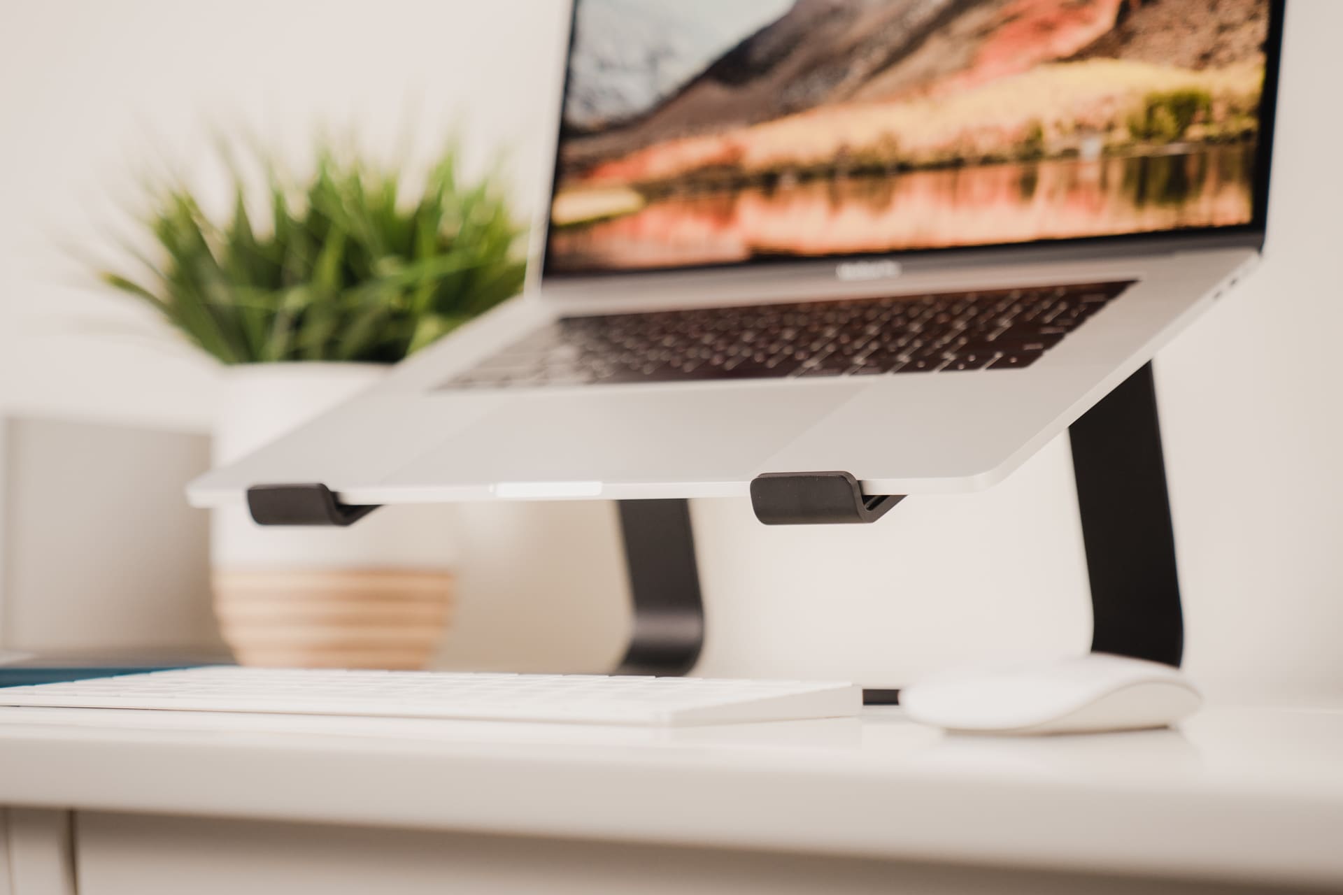 Twelve South Curve for Laptops & MacBooks