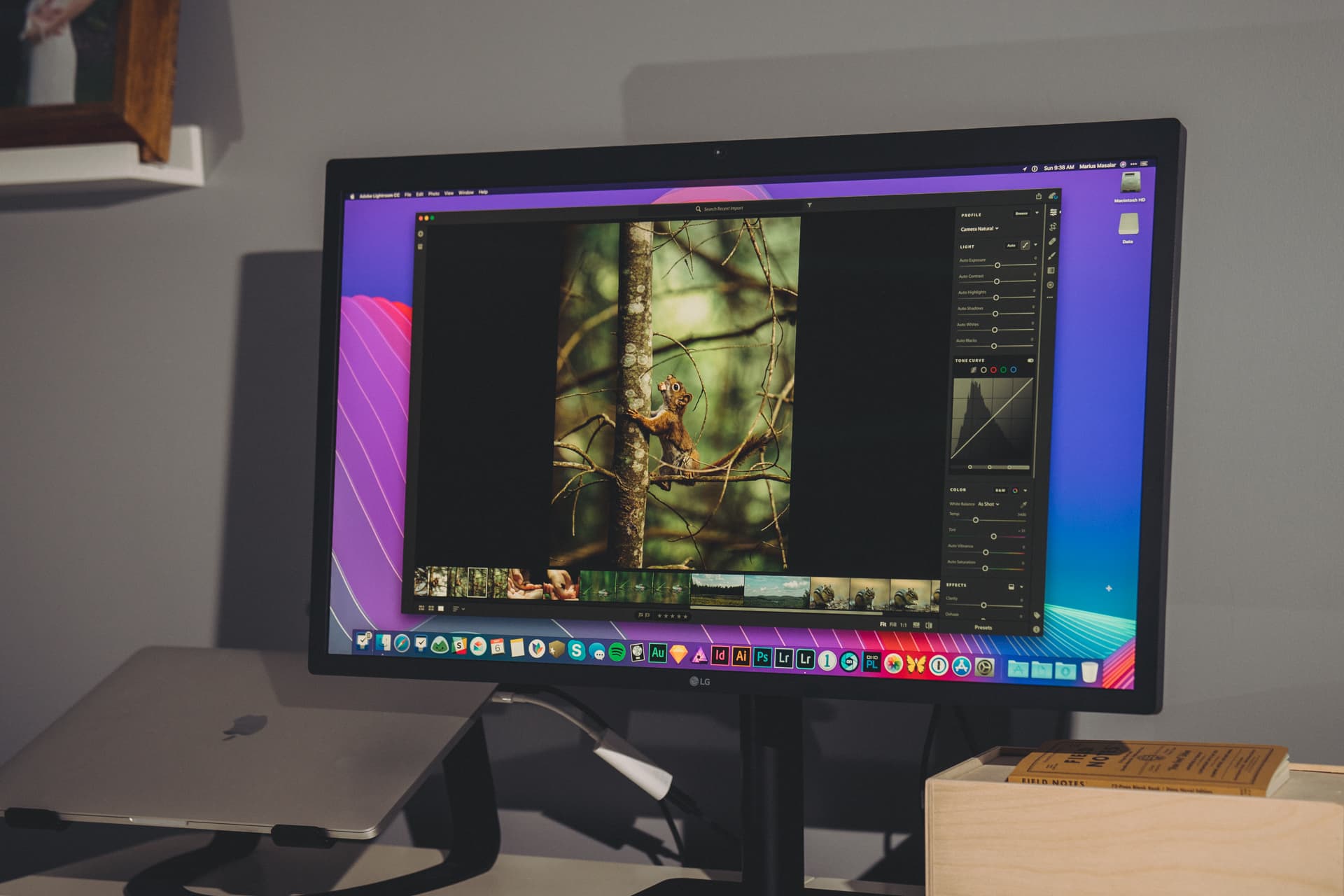 mac monitor for photo editing