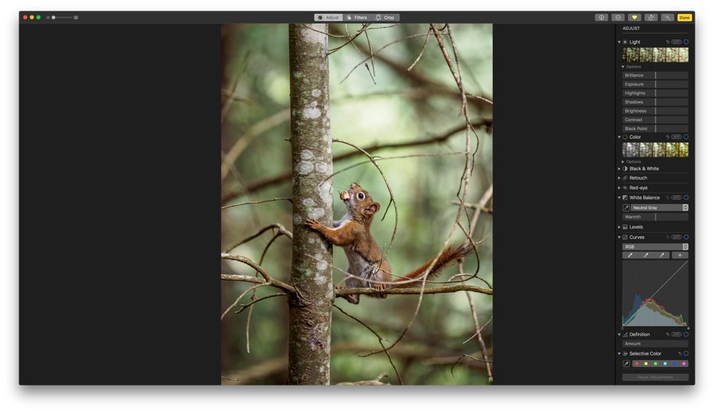 download the new for apple BatchPhoto Pro