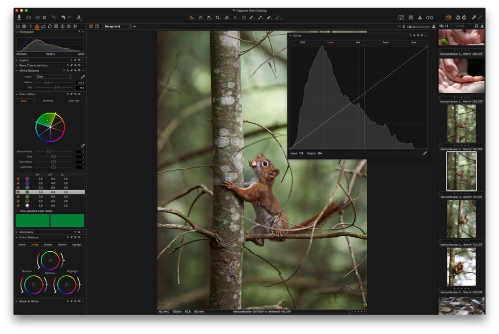 Capture One Pro develop with color tools showing