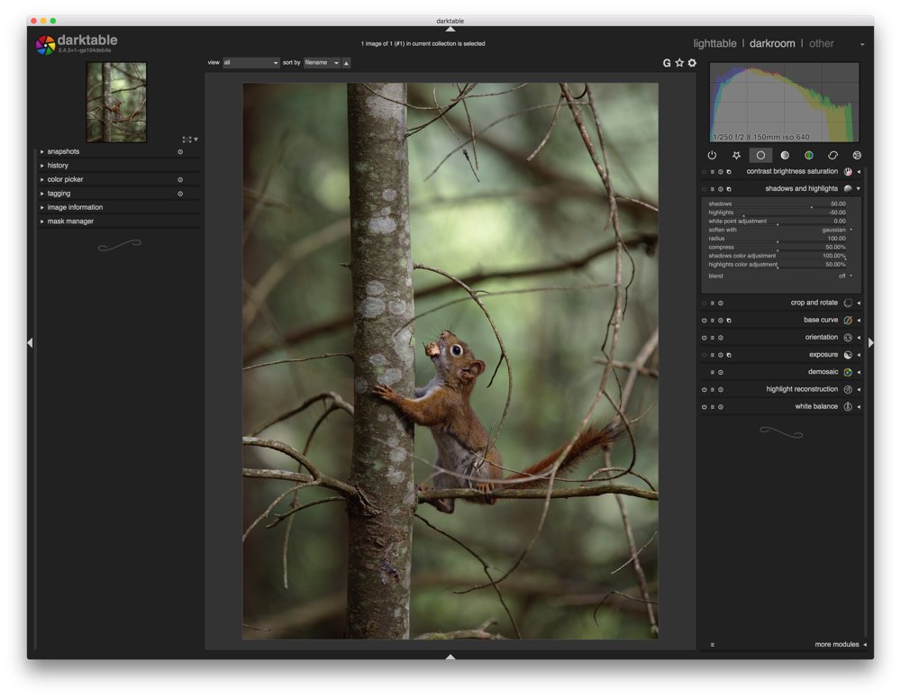 Darktable main interface