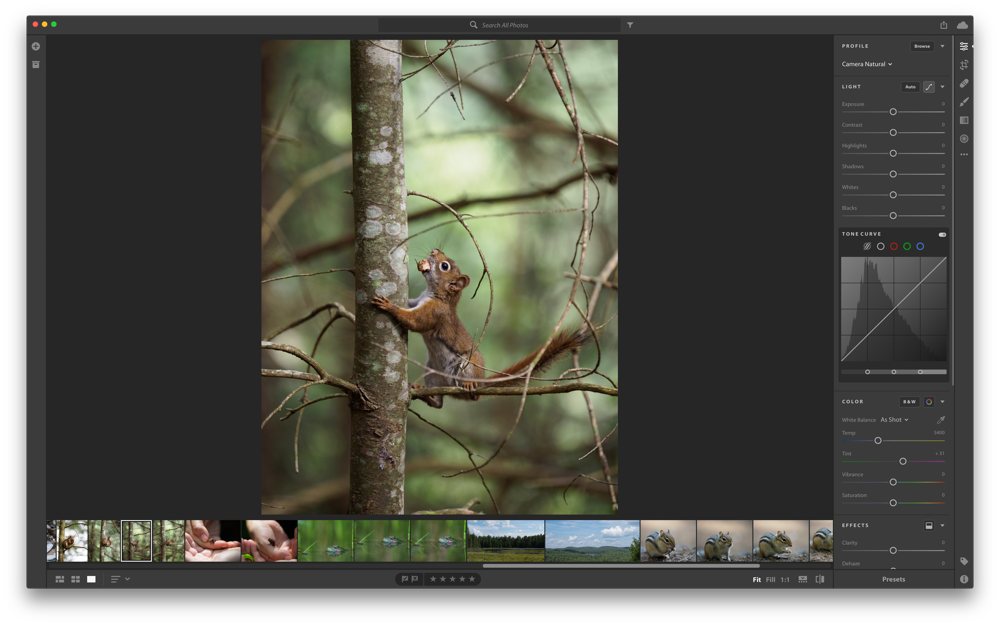 Edit photos on Mac with the photo editing app Photo Sense - VeprIT