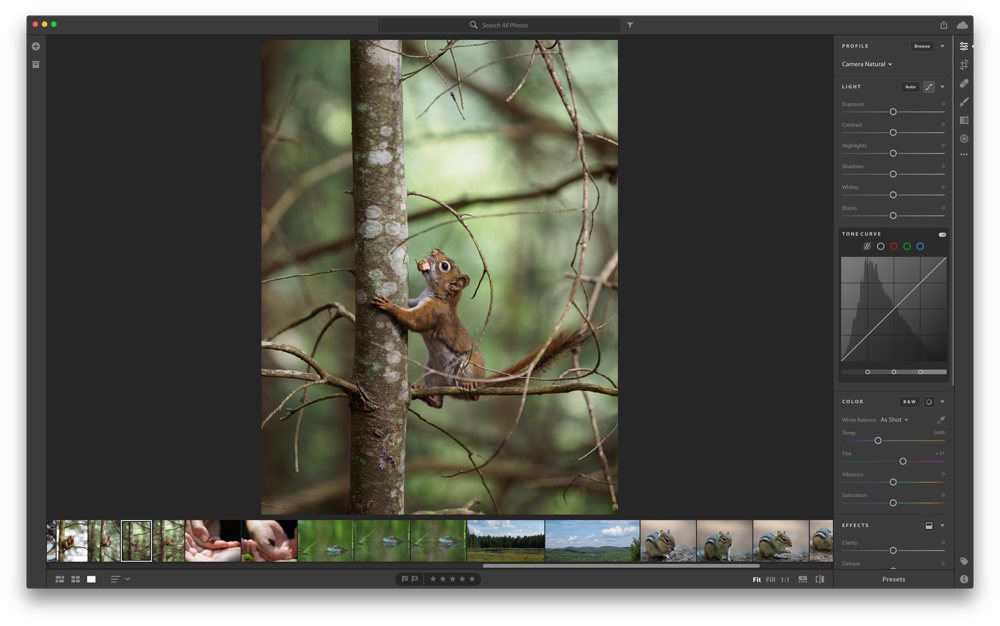 free natural light photo editors for mac