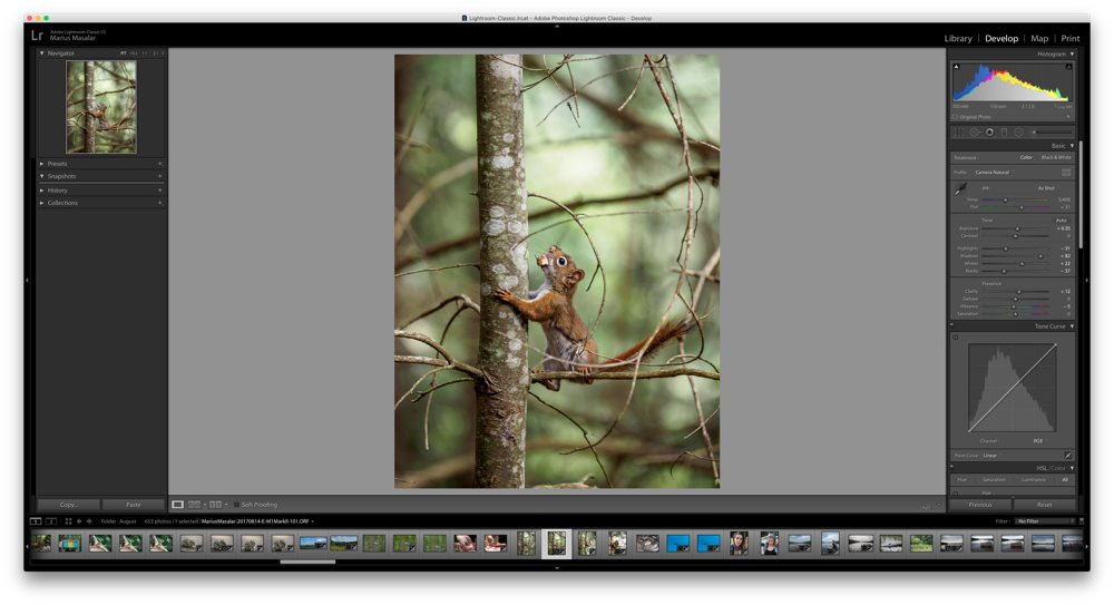 download free lightroom for mac