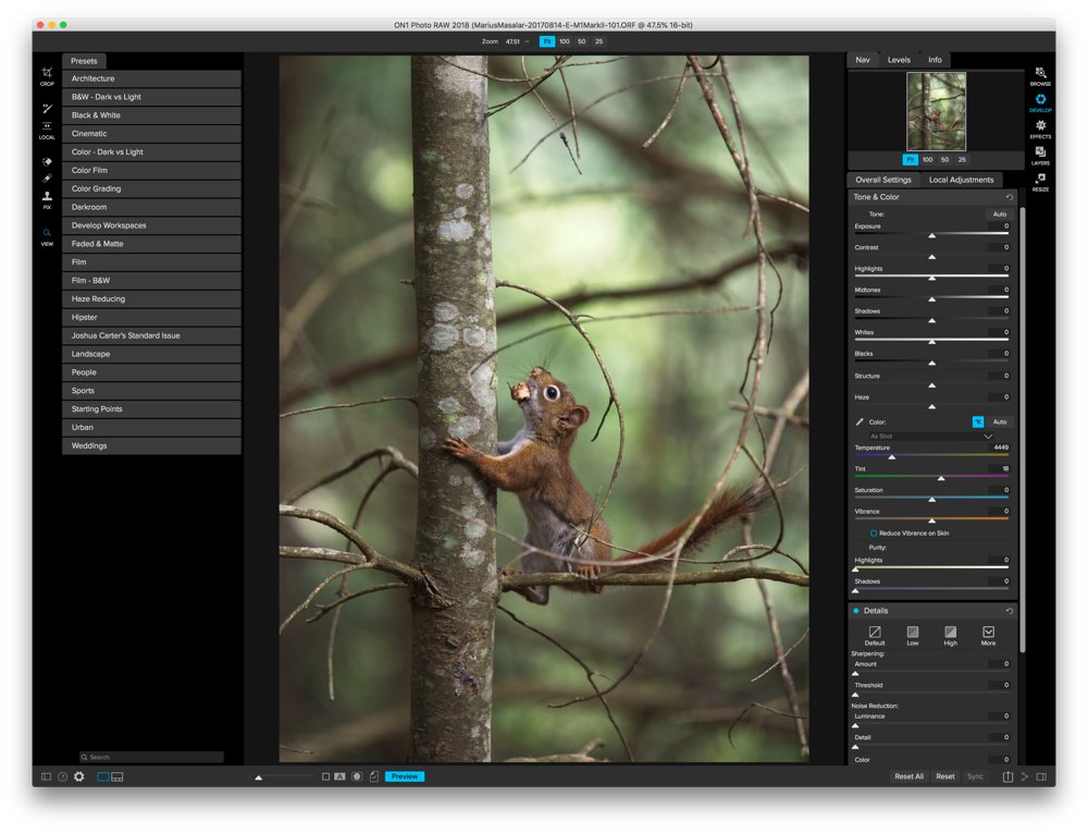 squirrel app for mac