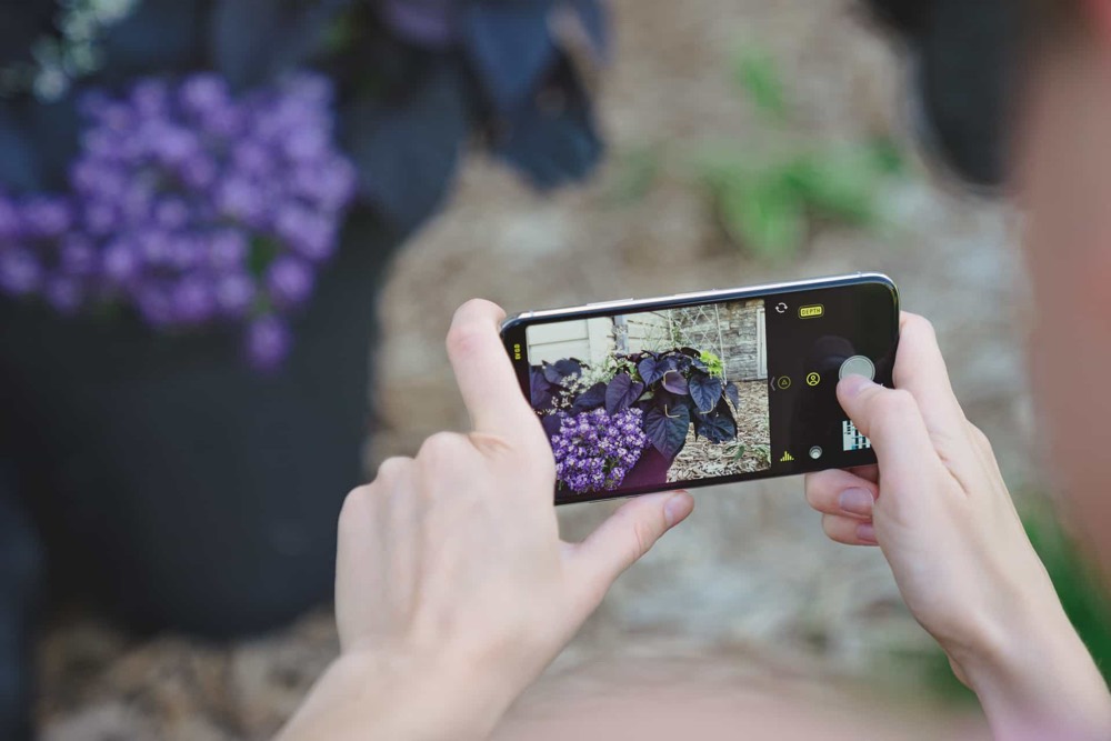 Shooting and editing great photos with Halide and Darkroom