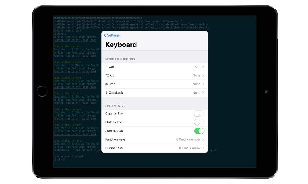 Keyboard modifier mapping’s in Blink Shell for iOS