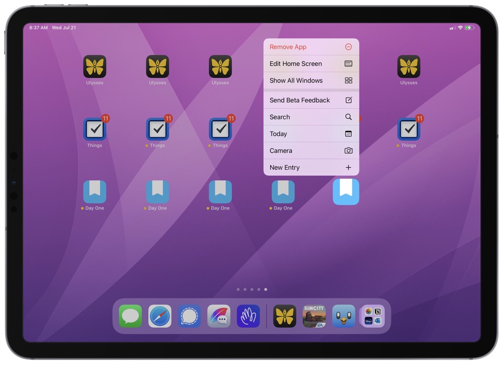 ipad settings app icon