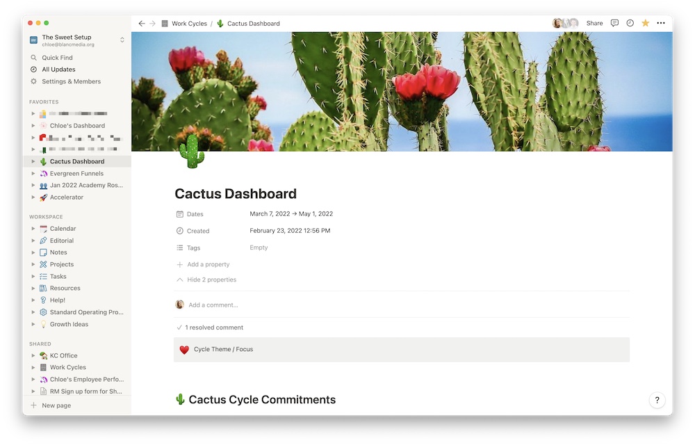 cactus-dashboard-how-we-use-notion