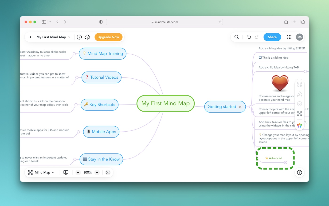 CMOP-E  MindMeister Mind Map